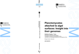 Planctomycetes Attached to Algal Surfaces: Insight Into Their Genomes