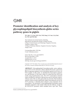Promoter Identification and Analysis of Key Glycosphingolipid Biosynthesis-Globo Series Pathway Genes in Piglets