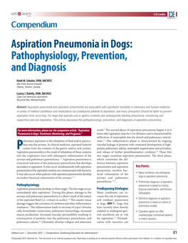 Aspiration Pneumonia in Dogs: Pathophysiology, Prevention, and Diagnosis