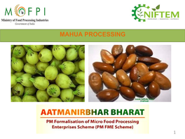 Mahua Processing