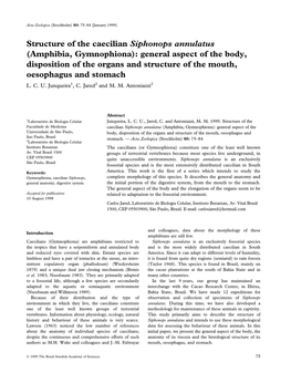 Structure of the Caecilian Siphonops Annulatus (Amphibia