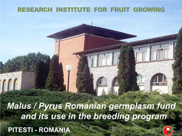 Malus / Pyrus Romanian Germplasm Fund and Its Use in the Breeding Program PITESTI - ROMANIA History