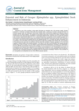 (Epinephelus Spp., Epinephelidae) Stock