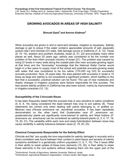 Growing Avocados in Areas of High Salinity