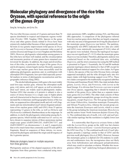 Molecular Phylogeny and Divergence of the Rice Tribe Oryzeae, with Special Reference to the Origin of the Genus Oryza