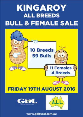 Kingaroy All Breeds Bull & Female Sale