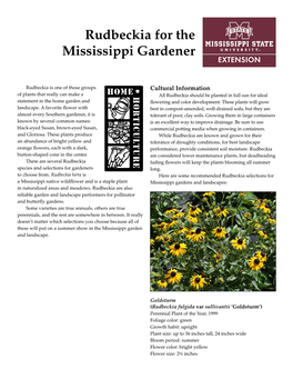 Rudbeckia for the Mississippi Gardener