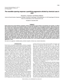 Quantifying Aggression Elicited by Chemical Cues in Ants