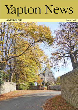 Previously Known As Yapton News & Views NOVEMBER 2016 Issue No 81