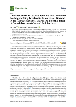 Characterization of Terpene Synthase from Tea Green Leafhopper Being