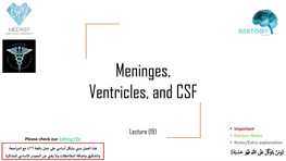 Meninges, Ventricles, and CSF