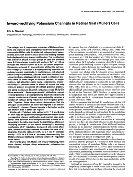 Inward-Rectifying Potassium Channels in Retinal Glial (Miiller) Cells