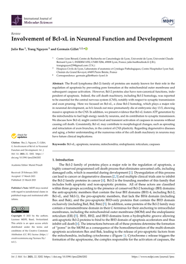 Involvement of Bcl-Xl in Neuronal Function and Development