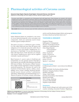 Pharmacological Activities of Curcuma Caesia