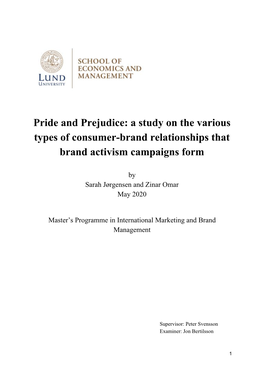 A Study on the Various Types of Consumer-Brand Relationships That Brand Activism Campaigns Form