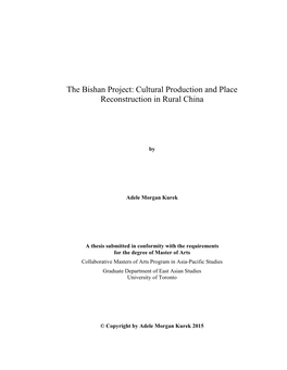 The Bishan Project: Cultural Production and Place Reconstruction in Rural China