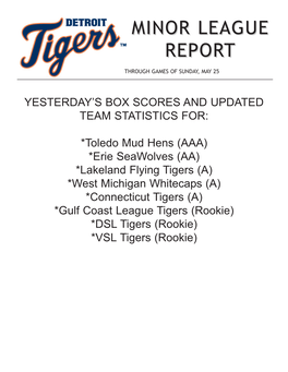 05-26-2014 Tigers Minor League Report