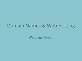 Domain Names & Web Hosting