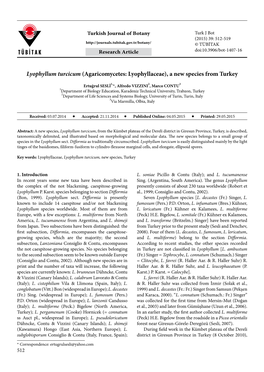 Lyophyllum Turcicum (Agaricomycetes: Lyophyllaceae), a New Species from Turkey