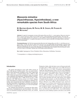 Massonia Mimetica (Hyacinthaceae, Hyacinthoideae), a New Remarkable Species from South Africa