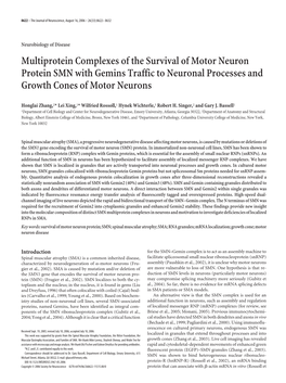 Multiprotein Complexes of the Survival of Motor Neuron Protein SMN with Gemins Traffic to Neuronal Processes and Growth Cones of Motor Neurons