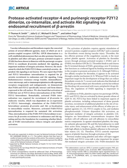 Protease-Activated Receptor-4 and Purinergic Receptor P2Y12 Dimerize, Co-Internalize, and Activate Akt Signaling Via Endosomal R