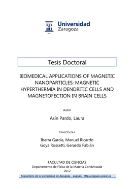 Magnetic Hyperthermia in Dendritic Cells and Magnetofection in Brain Cells