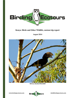 Kenya: Birds and Other Wildlife, Custom Trip Report