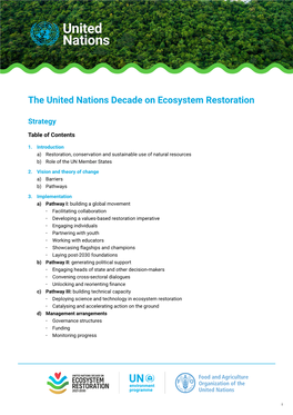 The United Nations Decade on Ecosystem Restoration Strategy