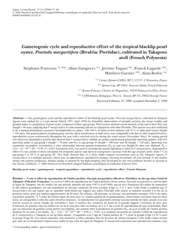 Gametogenic Cycle and Reproductive Effort of the Tropical Blacklip Pearl Oyster, Pinctada Margaritifera