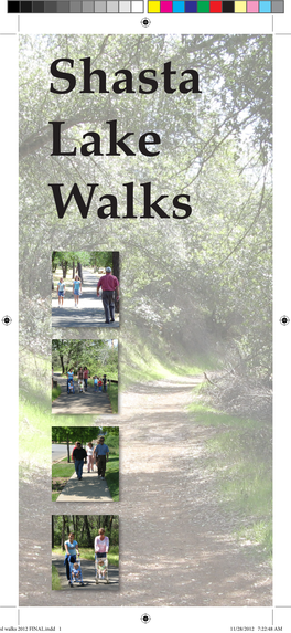 Shasta Lake Walking Brochure