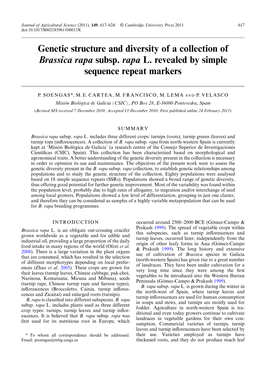 Genetic Structure and Diversity of a Collection of Brassica Rapa Subsp