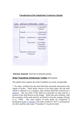 Classification of the Subphylum Vertebrata: Reptilia Order Testudines (Cheleonia): Turtles (250 Species) the Reptiles That Compr