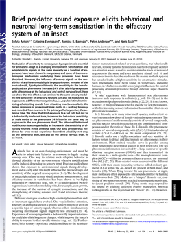 Brief Predator Sound Exposure Elicits Behavioral and Neuronal Long-Term Sensitization in the Olfactory System of an Insect