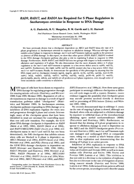 9, Radl 7, and RAD24 Are Required for S Phase Regulation in Saccharomyces Cerevisiae in Response to DNA Damage