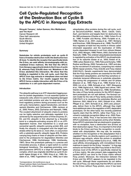 Cell Cycle-Regulated Recognition of the Destruction Box of Cyclin B by the APC/C in Xenopus Egg Extracts