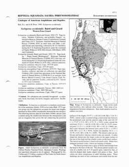 0631 Sceloporus Occidentalis.Pdf (1.790Mb)