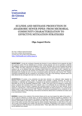 Sulfide and Methane Production in Anaerobic Sewer Pipes: from Microbial Community Characterization to Effective Mitigation Strategies