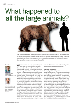 What Happened to All the Large Animals? Illustration: 