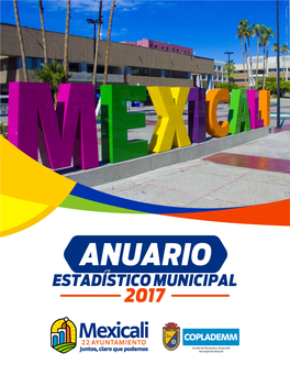 Anuario Estadístico Municipal 2017.Pdf