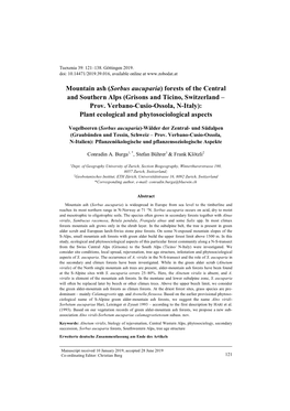 Mountain Ash (Sorbus Aucuparia) Forests of the Central and Southern Alps (Grisons and Ticino, Switzerland – Prov. Verbano-Cusi