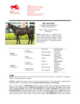 MR. SPEAKER Por Pulpit Y Salute Por Unbridled Studbook Thoroughbred