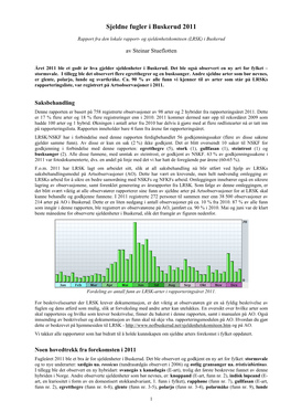 Sjeldne Fugler I Buskerud 2011
