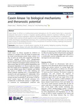 Casein Kinase 1Α: Biological Mechanisms and Theranostic Potential Shaojie Jiang1†, Miaofeng Zhang2†, Jihong Sun1 and Xiaoming Yang1,3*