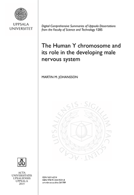 The Human Y Chromosome and Its Role in the Developing Male Nervous System