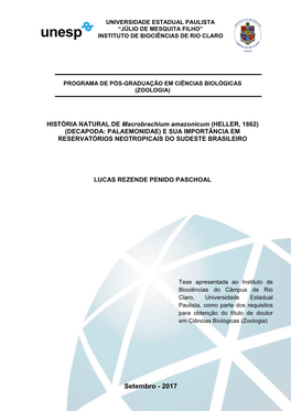 Paschoal Lrp Dr Rcla Int.Pdf