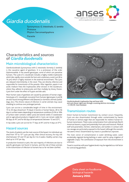 Giardia Duodenalis Synonymous: G