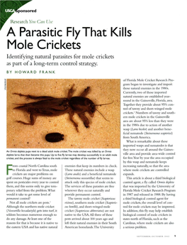A Parasitic Flythat Kills Mole Crickets Identifying Natural Parasites for Mole Crickets As Part of a Long-Term Control Strategy