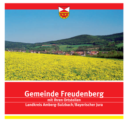 Gemeinde Freudenberg Mit Ihren Ortsteilen Landkreis Amberg-Sulzbach/Bayerischer Jura Gemeinde Freudenberg Mit Allen Ortsteilen Gemeinde Freudenberg