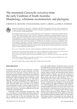 The Tommotiid Camenella Reticulosa from the Early Cambrian of South Australia: Morphology, Scleritome Reconstruction, and Phylogeny